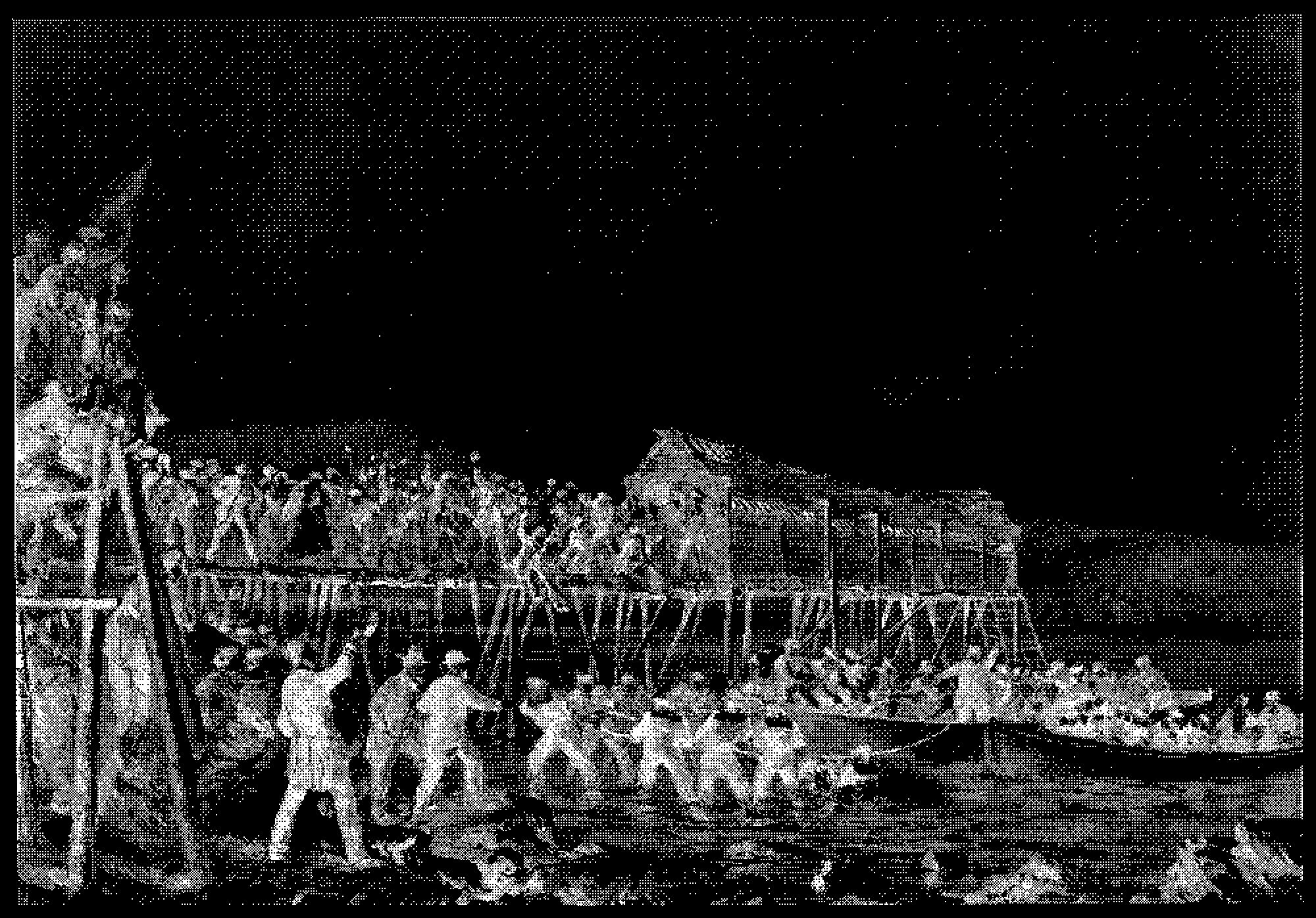 Historische Darstellung der Anlandung des transatlantischen Telegrafenkabels in Heart’s Content, Newfoundland